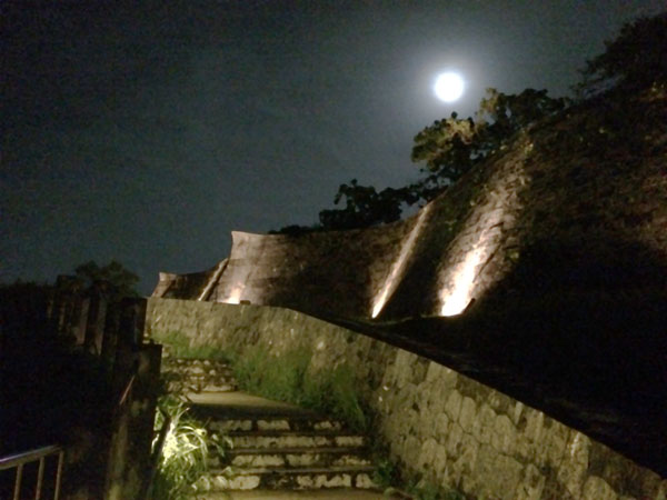 首里城公園の夜